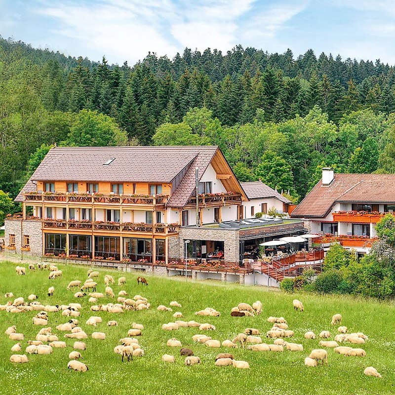 HOTEL GRÜNER WALD