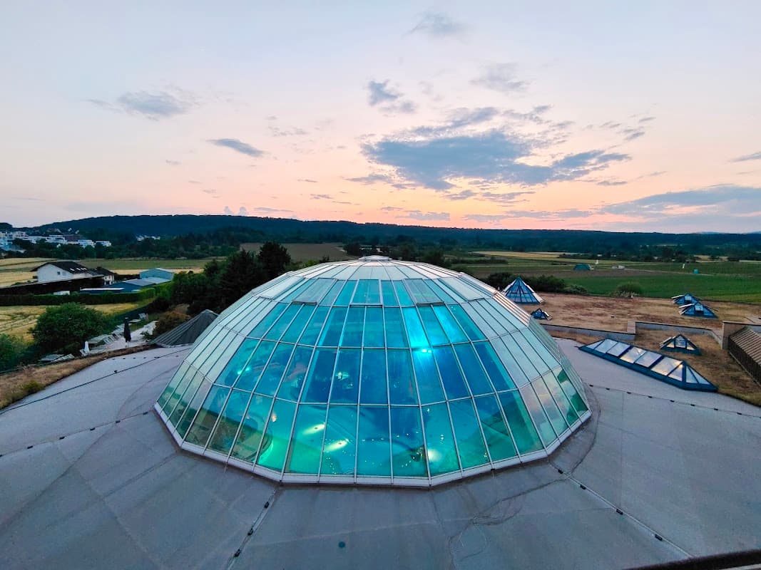 Vital Hotel Frankfurt Wellness Resort & SPA - Bild 3
