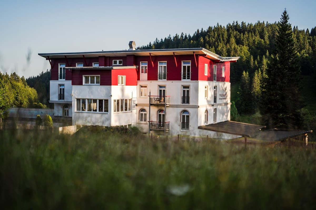Waldhotel am Notschreipass Schwarzwald