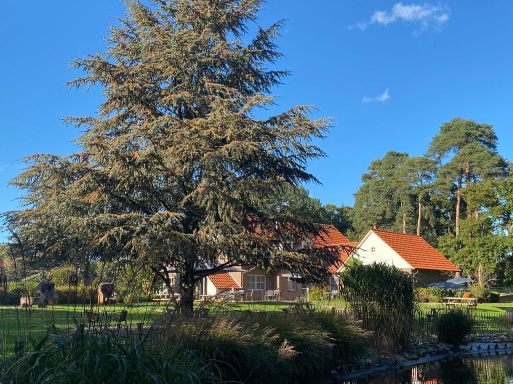 HAUS AM PARC - Bild 3