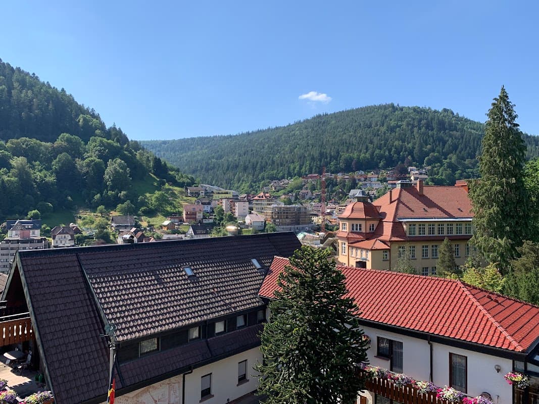 Aparthotel Schwarzwald Panorama