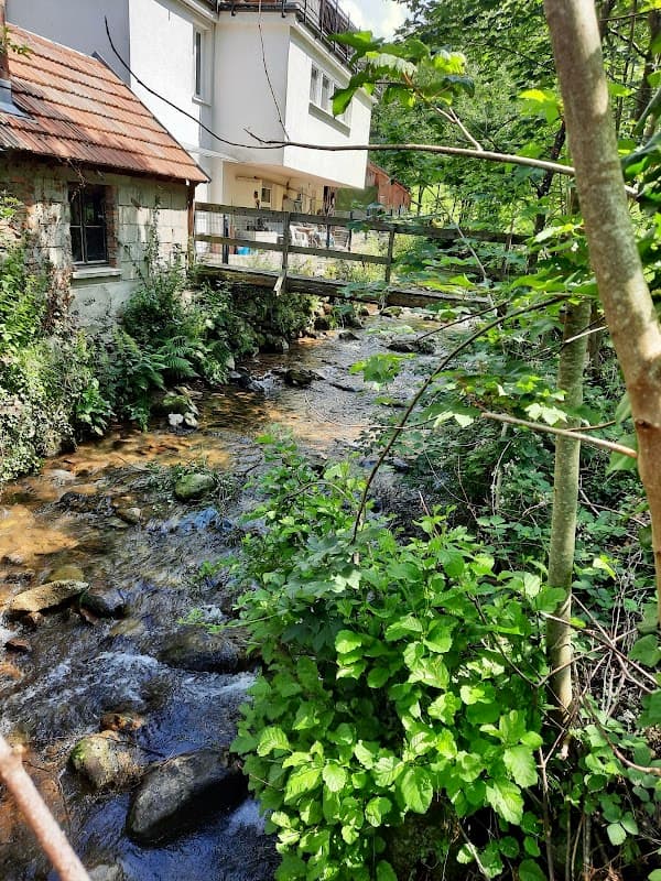 Bubble Tent Deutschland | Elzach-Yach im Schwarzwald - Bild 3