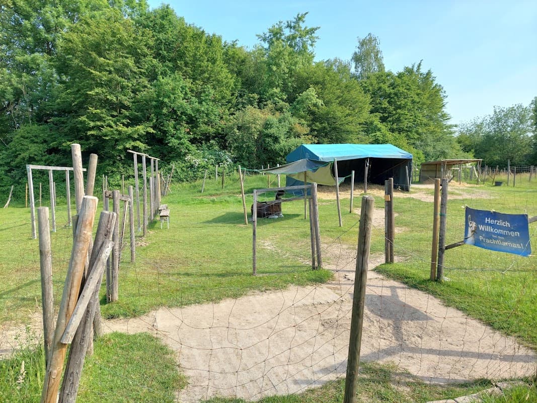 Gesundheitspark Nienhausen · Sauna I Sole I Wellness - Bild 3