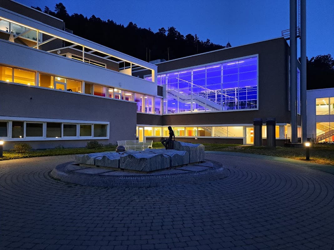 Paracelsus-Therme & Sauna Pinea Bad Liebenzell - Bild 2