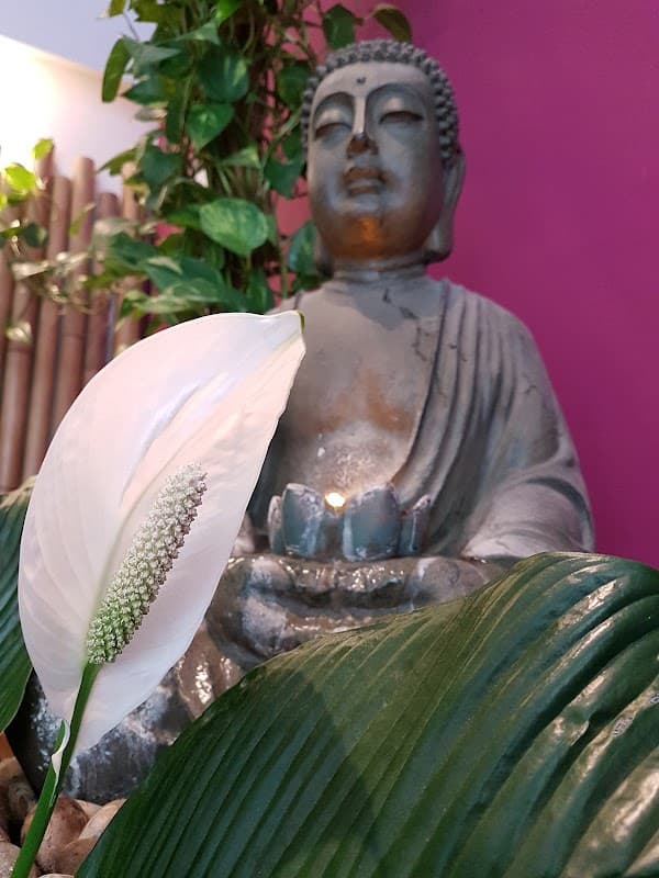 Green Ocean Spa - Bild 2