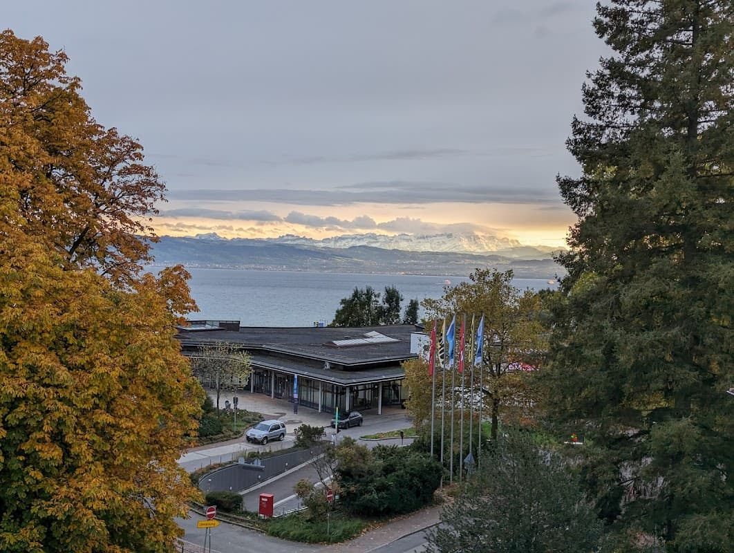 Lukullum