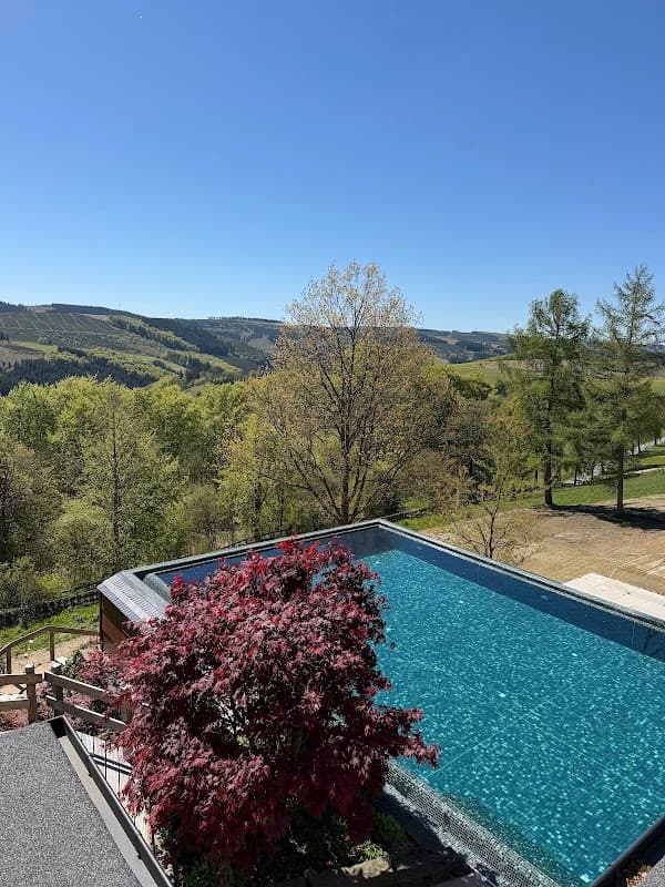 Hotel Waldhaus Ohlenbach - Bild 3